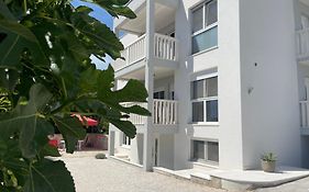 Apartment Babic